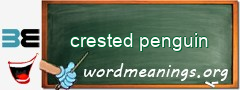 WordMeaning blackboard for crested penguin